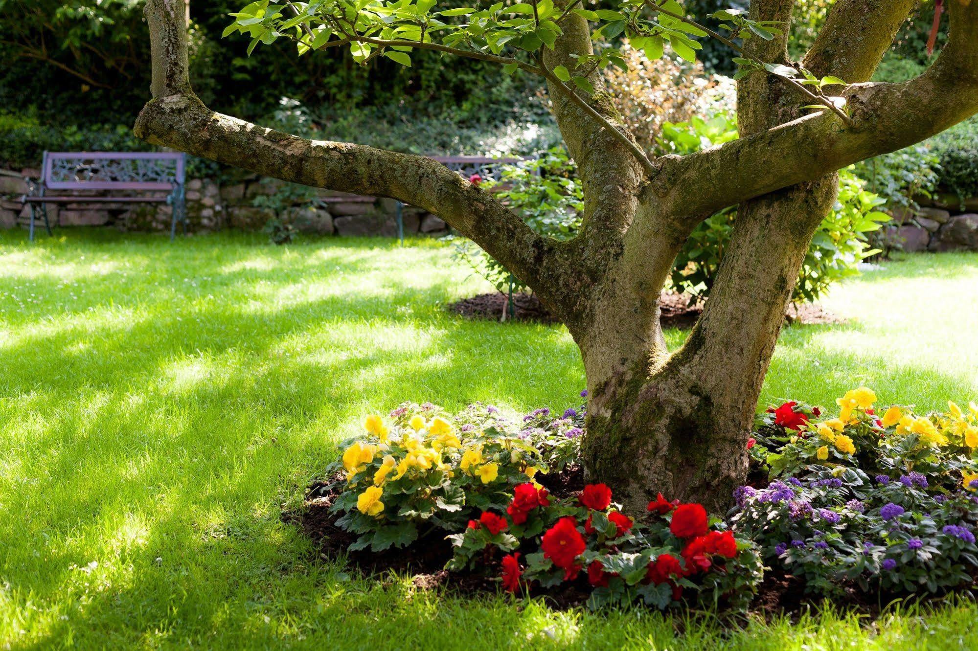 Hotel Garni Schlossgarten Neustrelitz Ngoại thất bức ảnh